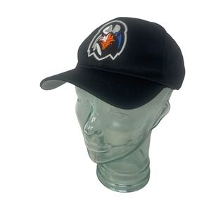 Aberdeen Ironbirds Minor League Men/ Unisex Adjustable Embroidered Snap Back Hat